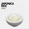 JAPAN TERIYAK! 日式照烧味 (150g) +  Veggies + Carbs - JAPONICA RICE 日本米